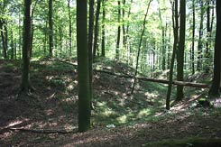 Laer, Oldenburg, Befestigung des Rondeelken. Foto: Eismann 2011