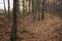  Lippstadt, Bad Waldliesborn, Hnenburg, stlicher Befestigungswall von N. Foto: Eismann 2011