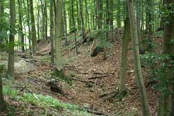  Bren, Hahnenburg, Die Nordseite des frhmittelalterlichen Walls von Osten. Foto: Eismann 2012