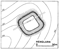 Plan der Vienenburg (aus Hmberg 1971, S. 221)