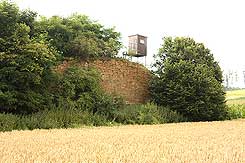  Warburg, Asseler Burg, Rest der Turmburg von Norden. Foto: Eismann 2012