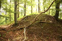  Warburg, Leuchteberg, Plateau der Hauptburg von Norden. Foto: Eismann 2012