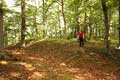  Warburg, Leuchteberg, Wall zum Vorburggelnde von Osten. Foto: Eismann 2012