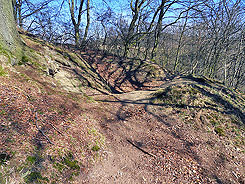 Scheda Hnenknfer unteres Turmhgelplateau, Foto: Rasch 2011