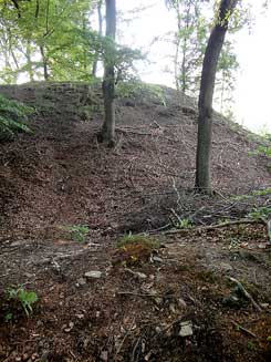  Arnsberg, Hnenburg bei Rumbeck, Wall und Graben im Sden von Sden. Foto: Eismann 2013