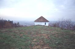 Das Rebhuschen auf dem Areal der Kernburg, mit Aussicht auf die Rheinebene (H. Wagner 21.2.2004).