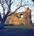 Burgruine Landsburg, Schildmauer von Osten, 1982 (Aufnahme: Gunther Balzer, Bezirksverband Pfalz)