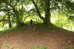  Die Motte Osterberg, wahrscheinlich der Standort der Burg Grasdorf. Foto Eismann 2015