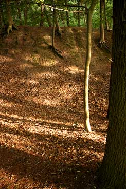  Blick ber den Graben auf den Innenwall der Hnenburg. Foto Eismann 2015