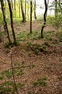  Blick ber den Graben und die breite Berme auf den Nordwall der Wekenborg. Foto Eismann 2015