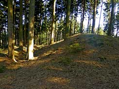  Bardenburg: Der Westwall des Kernwerks von Sden. Foto: Eismann 2015