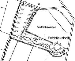  Plan der Motte Felddieksboll (aus Wulf 2000, S. 118 Abb. 1)