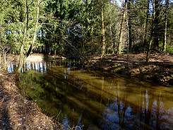  Die Sdwestecke der Wittekindsburg im Frankensundern. Foto Eismann 2015