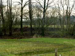  Das Plateau der Moorburg von Norden. Foto Eismann 2015