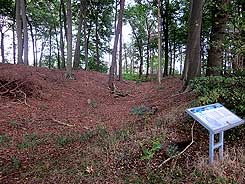 Wall und Graben, Blickrichtung Norden, Foto Frank Both, Okt. 2015