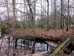 Blick auf Burggraben und ehemaliges Burggelnde von Osten, Foto: Frank Both. 06.03.2016