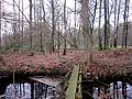 Blick auf Burggraben und ehemaliges Burggelnde von Osten, Foto: Frank Both. 06.03.2016