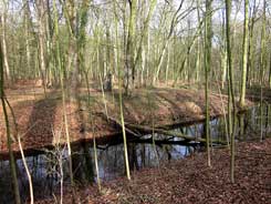 Blick von Osten auf den Wassergraben und die Hauptburg mit Knstlerischer Installation im Bildzentrum. Foto Frank Both, Febr. 2016.