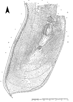 Plan der Lauenburg (aus Leiber 2002, S. 11)