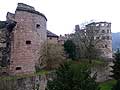 Schloss, Gesprengter Turm und Apothekerturm. (Thomas Steinmetz 2011)