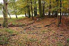 Wallrest im Westen. Foto Eismann 2016