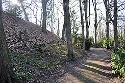 Blick nach Westen vom Graben, links Auenseite des Walls (M. Jansen 2017)