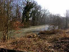 Blick nach Sdosten auf Graben und Wall der frhneuzeitlichen Festung (M. Jansen 2017)