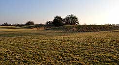 Blick nach Sdosten. Mittig das Plateau, nach vorne Graben, Wall, Graben (M. Jansen 2017)