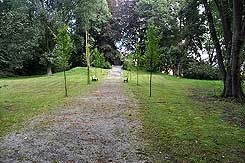 Blick nach Ost auf das ehemalige Burggelnde, wo sich heute ein Kriegsdenkmal befindet (M. Jansen 2017).