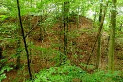 Blick auf die Hauptburg (Foto Eismann 2017)