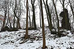 Die Ruine von Westen (Foto Eismann 2018).