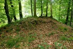 Der Schuttkegel des Bergfrieds (Foto Eismann 2018)