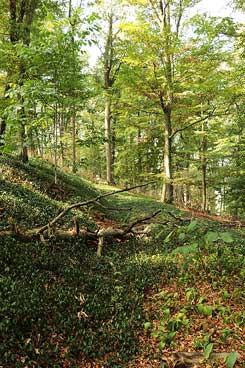 Der Hanggraben im Norden (Foto Eismann 2018)