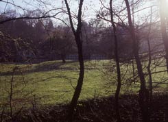 Gesamtansicht der Motte, Foto: J. Friedhoff (2005)